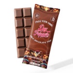 Day Tripper Chocolate Bar 10 Pieces / Milk Chocolate